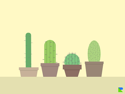 Cactus Lover