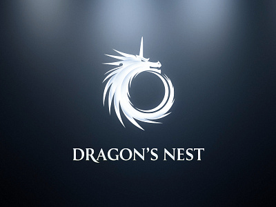 Dragon's Nest identity (startup venture)
