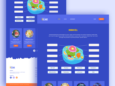 Drag and Drop Interactive Questions Answers UI UX Design answer branding design education graphic design illustration interactive kids learning logo motion graphics questions ui ux vector