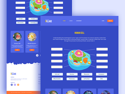 Drag and Drop Interactive Questions Answers UI UX Design