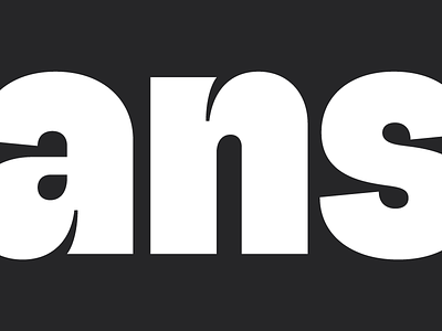 ans custom type typography