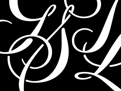 SL custom lettering lettering letters typography