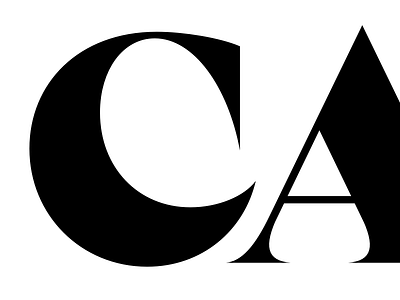 Funky serif type type design typography