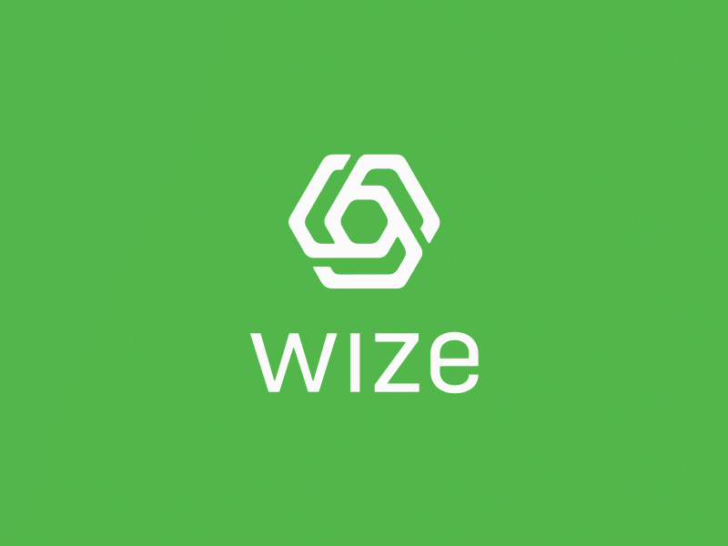 WIZE Logo Animated animation identity logo design