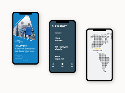 Mobile website UI adobe xd mobile responsive ui website