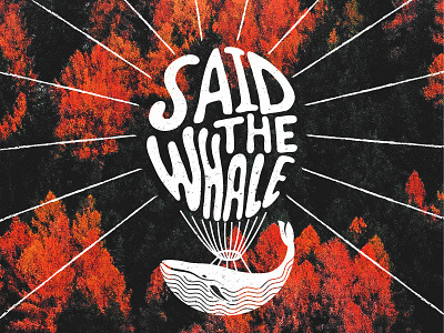 Said the Whale logo airballoon badge identity branding illustration logo design emblem mark said the whale vintage whale