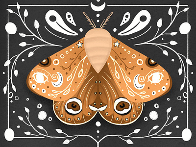 Moth Illustration digital illustration illustration ipad illustration procreate
