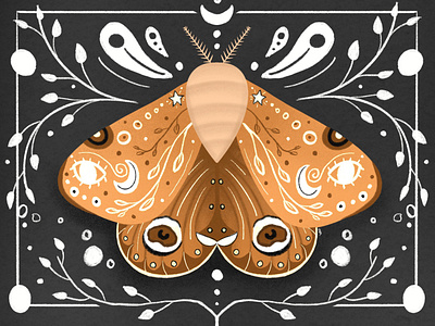 Moth Illustration