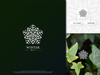 Winter Logo Concept