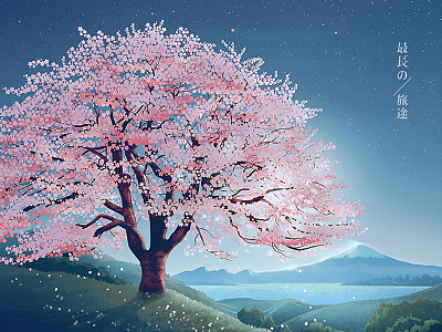 Sakura illustration illustration sakura