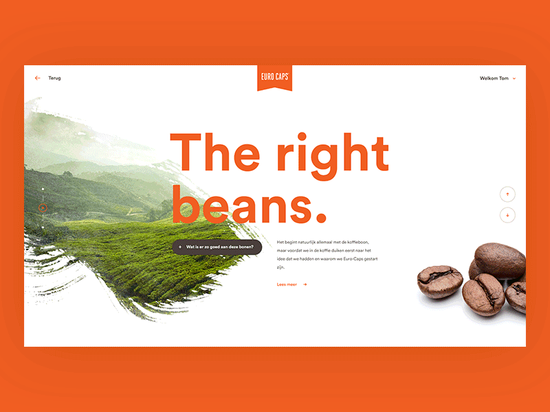 Eurocaps by Tom for Doop on Dribbble