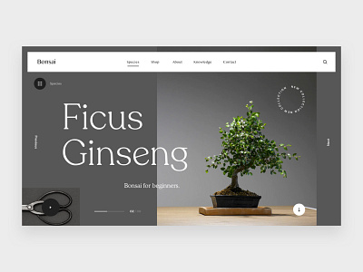 Bonsai clean concept design flat homepage interface typography ui webdesign website