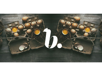 B Farm Branding, Concept Design