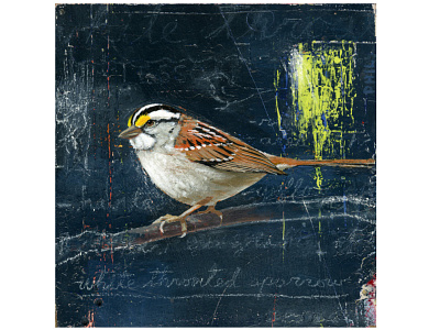 White-Throated Sparrow - i2i Art Inc. - ©Phil animals artist bird editorial i2i art illustration nature painterly painting phil sparrow throated traditional white