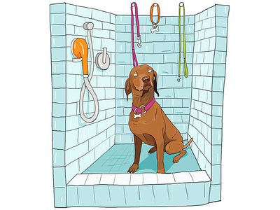 Dog Bathing Station - i2i Art Inc - ©Monika Melnychuk bathing digital dog editorial home humorous humorous illustration i2i art pet shower station
