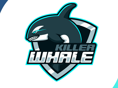 killerwhale art brand brand design brand identity branding branding design creative creative design creativity design design art flat icon illustration logo mascot design shark team logo vector whale