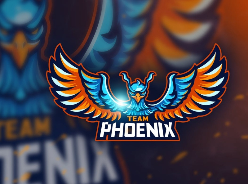 team phoenix by Mattia Cavenaghi on Dribbble