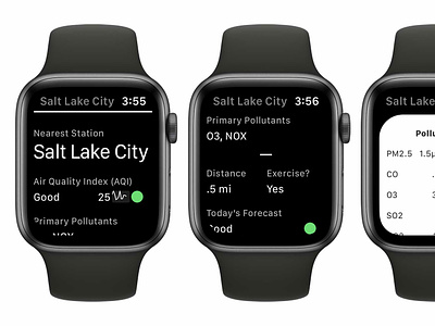 Air Lookout: Apple WatchOS App apple ios sparkline vizualization watch watchos