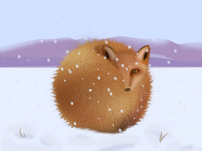 A fox in the snow graphic，art