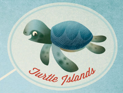Sea Turtle illustration sea turtle