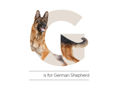 G is for German Shepherd alphabet dog g german shepherd