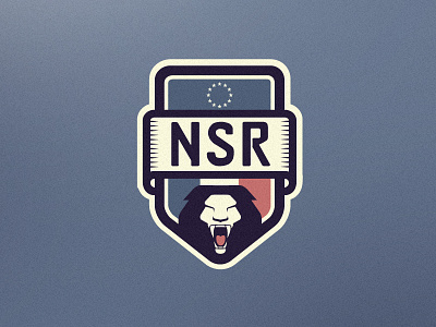 NSR Racing brazil car europe france lion logo luiz peugeot race ue vintage