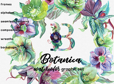 Botanica Collection botanical clipart cliparts design floral flowers illustration typography watercolor watercolors watercolour