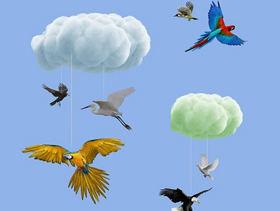 A Realistic Mobile adobe photoshop cc birds clouds graphic design photo manipulation photography
