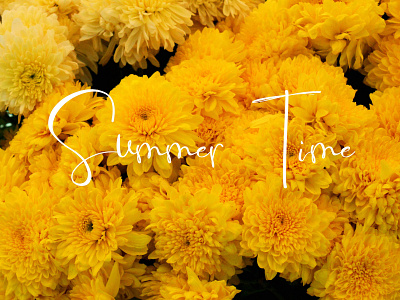 Summer Time Flowering adobe photoshop cc content creation graphic design instagram post photo manipulation photography