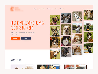 Animal Shelter Hero animal shelter animals charity charity website hero hero section warm warm colors warm colours web design