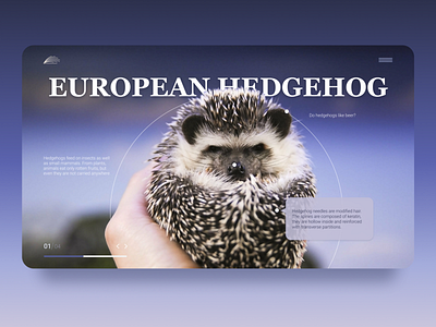 Website for european hedgehog design figma landing ui ui ux ui ux design ux web web design website