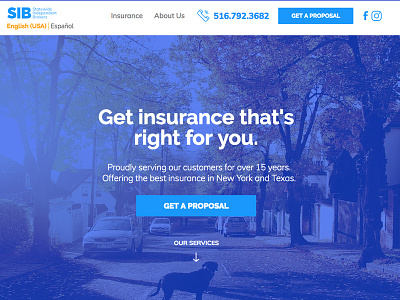 Statewide Insurance Website branding design ui website