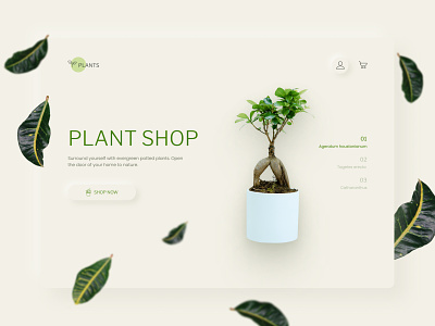 Plants Shop Concept calmness green idea nature neuromorhpism neuromorphic neuromorphic design ui ux ui design uxdesign webdesign website website design