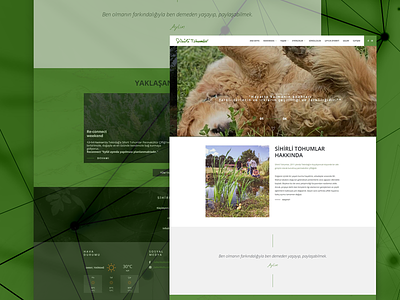 Sihirli Tohumlar clean farm fullwidth responsive web webdesign white