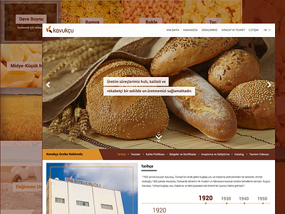 Kavukcu brown clean frontend fullwidth kavukcu modern onepage responsive webdesign white