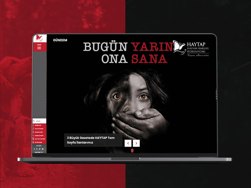 HAYTAP association design fullwidth webdesign web white clean responsive fullpage black red dernek hayvan haklari haytap