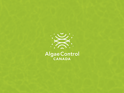 Algae Control - Canada