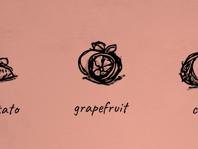 Grapefruit Illustration drawing drawn food fruit grapefruit hand illustration