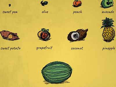 Fruit Illustrations