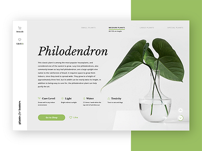 Plants for Homes /// Day 01 bio clean ecommerce green layout minimalist plants shop store ui design web design