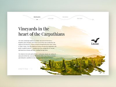 Liliac Wine /// Day 23 clean green journey layout minimalist romania ui design web design wine