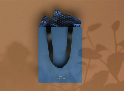 Secuiana Brand Identity bag box brand branding clean design fashion gift hunap hunapstudio illustration kapor logo package secuiana