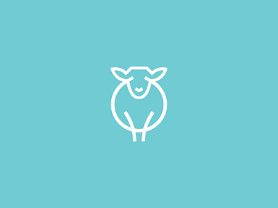 Sheep animal lamb sheep