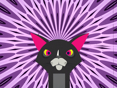 PSYCHOCAT 2d 2d animation after affects cat circles crazy eyes eyes illustration loop motion psychadelic