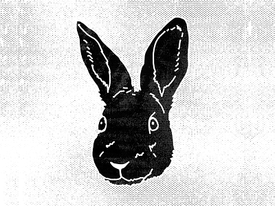 Hare hire illustration rabbit rough sketch texture vintage wacom warmup wild