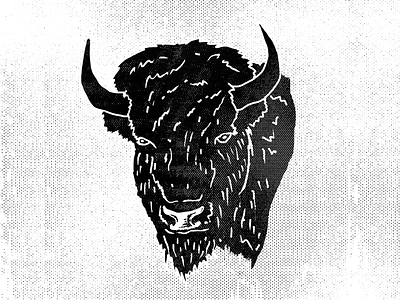 Bison bison buffalo drawing halftone hand drawn illustration kansas city texture wacom wild