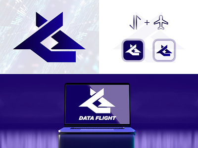Data Flight Logo Design