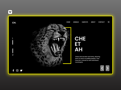 Cheetah 🐆 branding design icon illustration logo ui ux web web design website