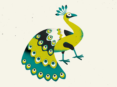 Peacock Texture animal bird colour design illustration peacock texture vector