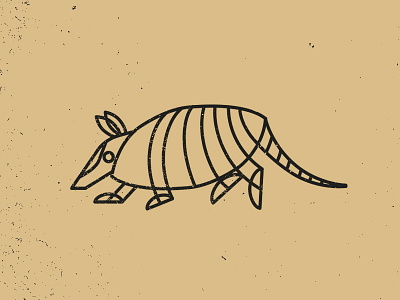 Shapes and Armadillos